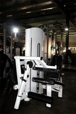 Commercial Gym Equipment Pin Loaded 2 in 1 Adjustable Seated Leg Extension Leg Curl Machine
