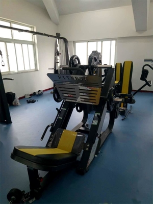 Minimum Customization Medium Loader Steel Plate Loaded Leg Press Machine for Gym Equipment