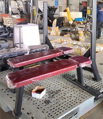 Customized Logo Availabled Flat Steel Bench for Gym Center Medium Loader Weight Bench