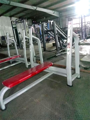 Customized Logo Availabled Flat Steel Bench for Gym Center Medium Loader Weight Bench