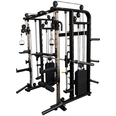 Frame Color Options for Smith Machine Cage in Customerized Commercial Gym Equipment
