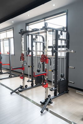 Frame Color Options for Smith Machine Cage in Customerized Commercial Gym Equipment