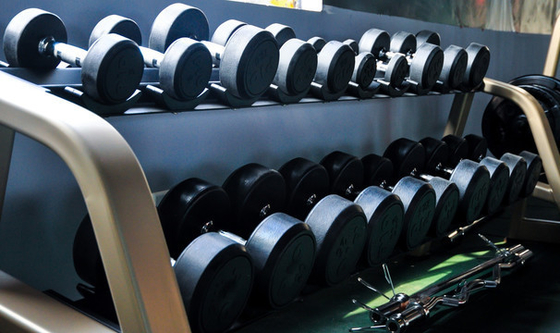 19.5 kg Load Capacity Gym Fitness Equipment Dumbbell Storage Rack Foldable Design