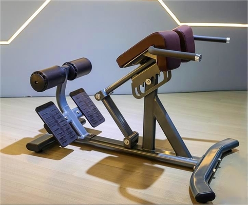 Style Luxury Fitness Equipment for Back Exercises Adjustable Back Extension Roman Chair