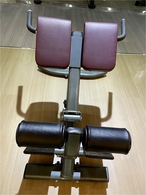 Style Luxury Fitness Equipment for Back Exercises Adjustable Back Extension Roman Chair