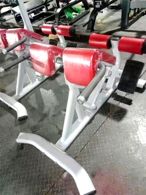 Style Luxury Fitness Equipment for Back Exercises Adjustable Back Extension Roman Chair