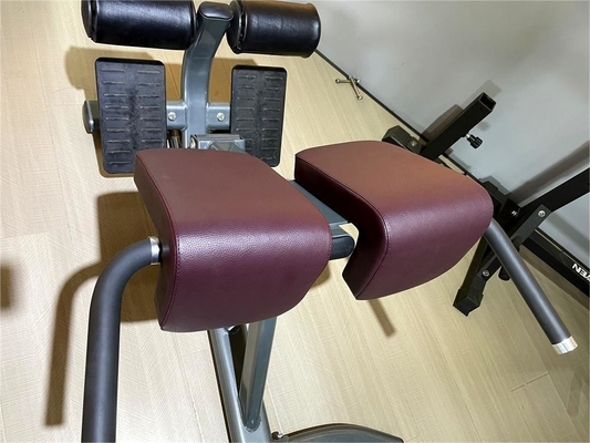 Style Luxury Fitness Equipment for Back Exercises Adjustable Back Extension Roman Chair