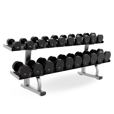 57 kg Steel Dumbbell Rack for Commercial Gym Equipment within Befreeman