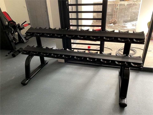 57 kg Steel Dumbbell Rack for Commercial Gym Equipment within Befreeman
