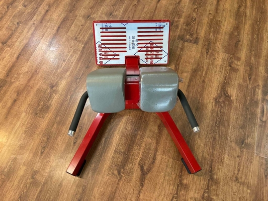 Gym Fitness 45 Degree Back Extension Machine Roman Chair Gym Bench Unisex Gender Unisex