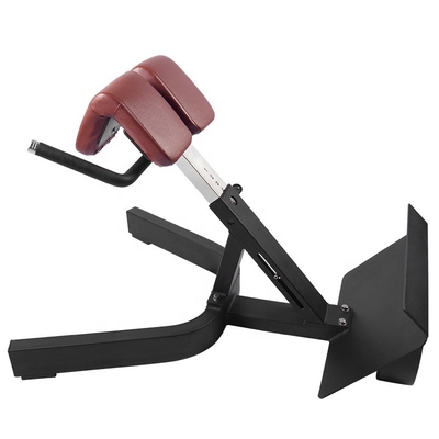 Strength Training Multi-Functional Arm Curl Back Extension Bench Roman Chair for Unisex