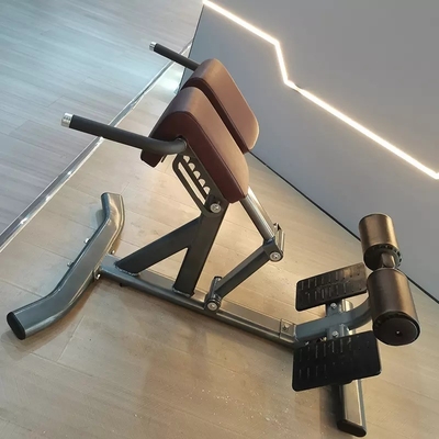Strength Training Multi-Functional Arm Curl Back Extension Bench Roman Chair for Unisex
