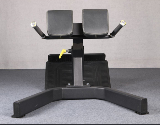 Strength Training Multi-Functional Arm Curl Back Extension Bench Roman Chair for Unisex