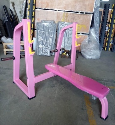 Fitness Sport Commercial Strength Training Benches for Shoulder and Chest Press