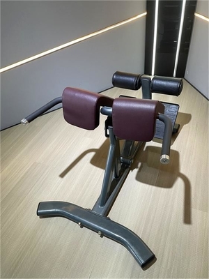 Gym Fitness 45 Degree Back Extension Machine with Optional Selectable Frame Color