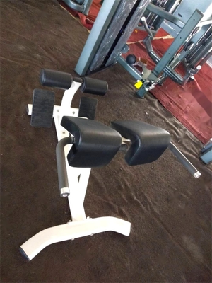 Gym Fitness 45 Degree Back Extension Machine with Optional Selectable Frame Color