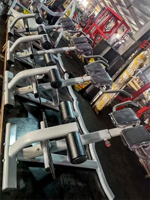 Gym Fitness 45 Degree Back Extension Machine with Optional Selectable Frame Color