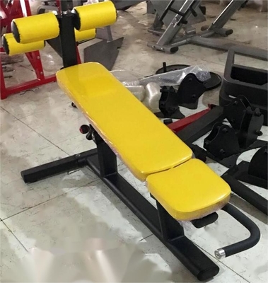 Adjustable Seat Home Gym Machine for Commercial Back Extension and Abdominal Crunch
