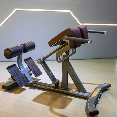 Gym Strength Training Equipment Adjustable Back Extension Roman Chair for Commercial
