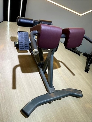 Gym Strength Training Equipment Adjustable Back Extension Roman Chair for Commercial
