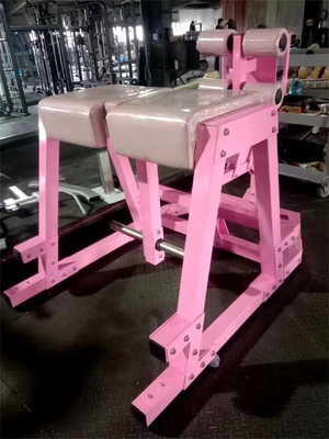 Q235 Plate Loaded Glute Training Reverse Hyper for Musle Training in Commercial Gym