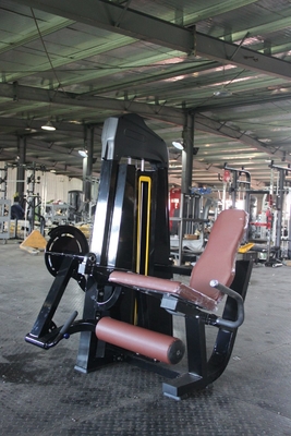 Medium Loader Dual Function Adjustable Seated Leg Curl Extension Machine for Fitness