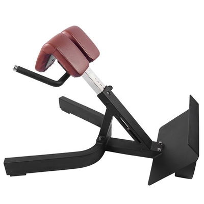 Adjustable Back Extension Bench Ideal for Strengthening Back and Core at Home