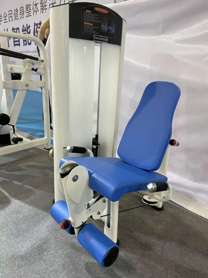 Adjustable Seated Leg Extension Home Gym Machine for Quadriceps and Shins Workout