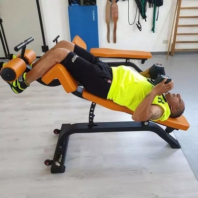 Unisex Gym Strength Exercise Bench Adjustable Incline Decline Bench Fitness Equipment
