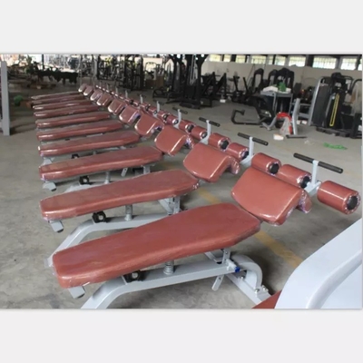 Unisex Gym Strength Exercise Bench Adjustable Incline Decline Bench Fitness Equipment