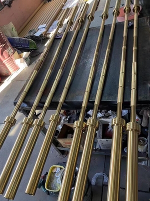 1.2m Gym Equipment-Free Weights for Strength Training-Weight Lifting Bar at Befreeman