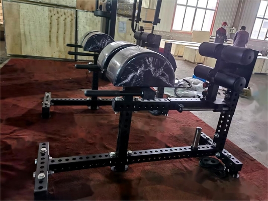 3.0mm Tube Thickness Multi Functional Glute Ham Developer for Professional Sports Gym