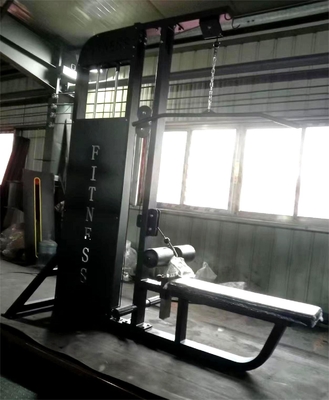 Home Gym 2 in 1 Seated Lat Pulldown Machine with Commercial-Grade Steel Construction