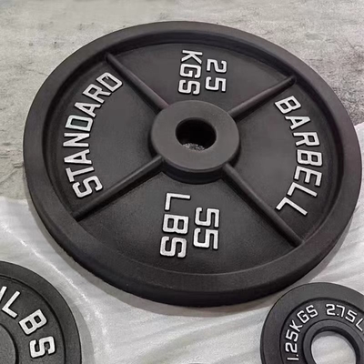 Fitness Center Exercise Weight Plates with Free Weight Function Steel Iron