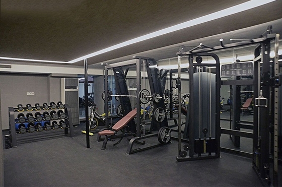 1300*2010*2110mm Cable Crossover Unisex Gym Equipment for Multi-Functional Training