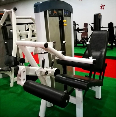 Boost Your Bodybuilding Journey with Hammer Strength Leg Extension and Curl Machine