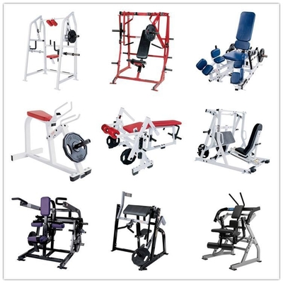 Plate Loaded Machine Seated Bicep Curl Machine with Optional Frame Color 2020 Design