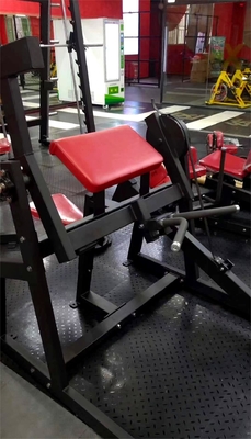 Plate Loaded Machine Seated Bicep Curl Machine with Optional Frame Color 2020 Design