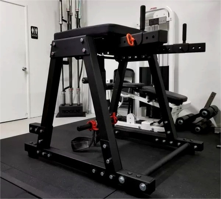 Commercial Gym Equipment Reverse Hyper with Steel Material and Customized Design