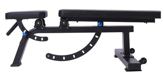 Unisex Metal Exercise Bench Ideal for Dumbbell Weight Lifting and Abdominal Workouts