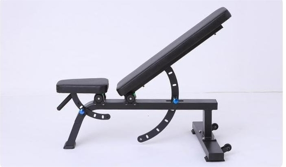 Unisex Metal Exercise Bench Ideal for Dumbbell Weight Lifting and Abdominal Workouts