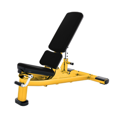 Unisex Metal Exercise Bench Ideal for Dumbbell Weight Lifting and Abdominal Workouts