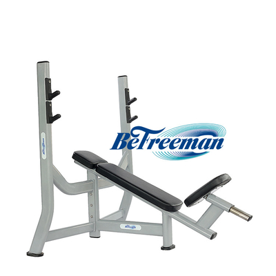 Multi-Functional Fitness Center/GYM Dumbbell Incline Bench Press for Weight Training