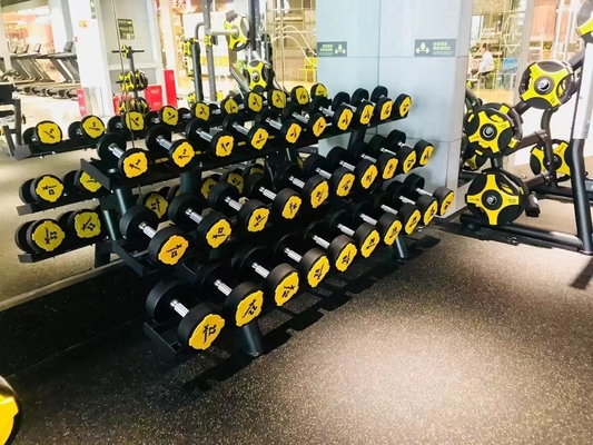 Strength Training Bumper Weight Plate with Customized Logo Availabled Gym Equipment