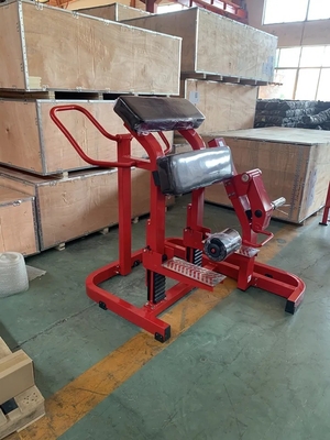 Steel Standing Leg Curl Medium Loader Selection Machine for Glutes and Quadriceps