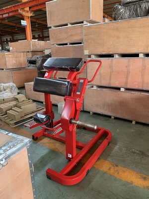 Steel Standing Leg Curl Medium Loader Selection Machine for Glutes and Quadriceps