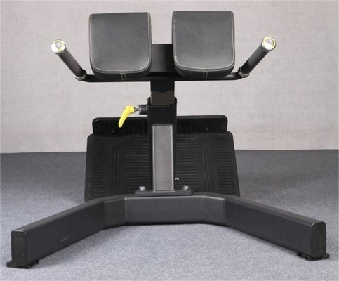 Indoor Exercise Muscle Back Extension Roman Chair Bench Machine for Fitness Training
