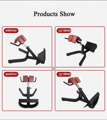 Indoor Exercise Muscle Back Extension Roman Chair Bench Machine for Fitness Training