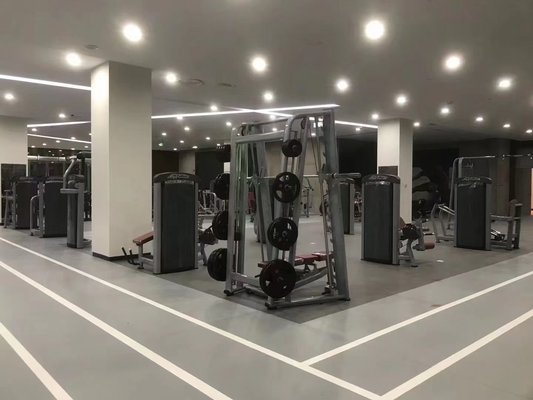 Optional Selectable Frame Color Befreeman Multi Smith Machine for Gym Fitness Equipment