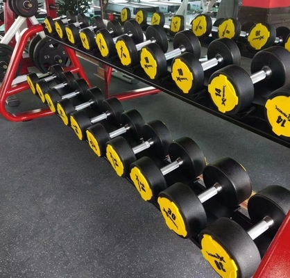 Customized Logo Gym Fitness Equipment Rubber Cover Dumbbells for Market Demand